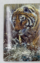 Load image into Gallery viewer, Bradford Exchange Masters Of The Wild "Golden Tempest" Collector Plate