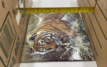 Load image into Gallery viewer, Bradford Exchange Masters Of The Wild "Golden Tempest" Collector Plate