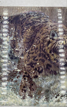 Load image into Gallery viewer, Bradford Exchange Masters Of The Wild "Snow Storm" Collector Plate