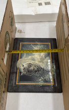 Load image into Gallery viewer, Bradford Exchange "White Lightning" By John Seerey Lester Collector Tile
