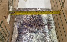 Load image into Gallery viewer, Bradford Exchange Masters Of The Wild "Snow Storm" Collector Plate