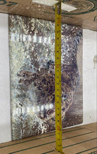 Load image into Gallery viewer, Bradford Exchange Masters Of The Wild "Snow Storm" Collector Plate