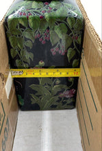Load image into Gallery viewer, New York Botanical Garden Decorative Flower Vase
