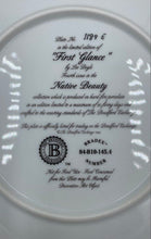 Load image into Gallery viewer, Bradford Exchange "First Glance" By Lee Bogle Collector Plate
