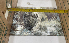 Load image into Gallery viewer, Bradford Exchange Master Of The Wild "White Fury" Collector Plate
