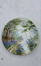 Load image into Gallery viewer, Royal Albert Bluebell Wood Teacup And Saucer
