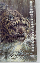 Load image into Gallery viewer, Bradford Exchange Masters Of The Wild "Snow Storm" Collector Plate
