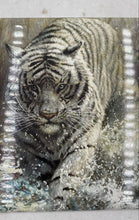 Load image into Gallery viewer, Bradford Exchange Master Of The Wild "White Fury" Collector Plate
