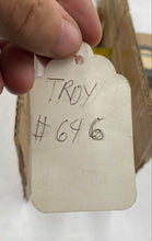 Load image into Gallery viewer, Troy Incandescent Hanging Lamp
