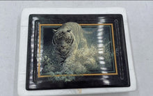 Load image into Gallery viewer, Bradford Exchange "White Lightning" By John Seerey Lester Collector Tile
