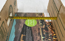 Load image into Gallery viewer, Palm Springs Holiday By Peter Moruzzi
