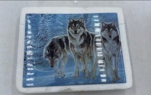Load image into Gallery viewer, Bradford Exchange "Shadow Hunters" By Al Agnew Collector Plate
