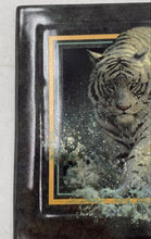 Load image into Gallery viewer, Bradford Exchange "White Lightning" By John Seerey Lester Collector Plate
