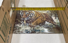 Load image into Gallery viewer, Bradford Exchange Masters Of The Wild "Golden Tempest" Collector Plate
