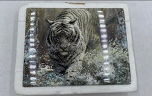Load image into Gallery viewer, Bradford Exchange Master Of The Wild "White Fury" Collector Plate
