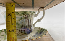 Load image into Gallery viewer, Royal Albert Bluebell Wood Teacup And Saucer
