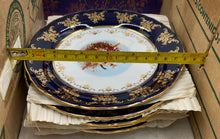 Load image into Gallery viewer, Decorative Fine Porcelain Serving Plates (5)
