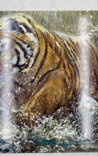 Load image into Gallery viewer, Bradford Exchange Masters Of The Wild "Golden Tempest" Collector Plate
