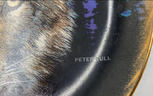 Load image into Gallery viewer, "Midnight Magic" By Peter Kull Collector Plate
