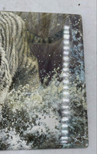 Load image into Gallery viewer, Bradford Exchange Master Of The Wild "White Fury" Collector Plate
