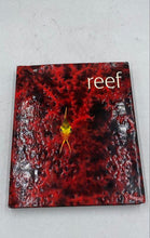 Load image into Gallery viewer, "Reef" Photographic Images Book
