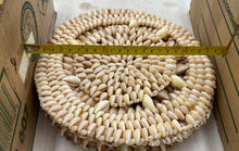 Load image into Gallery viewer, Cowrie Seashell Placemats And Coasters
