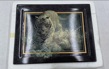 Load image into Gallery viewer, Bradford Exchange "White Lightning" By John Seerey Lester Collector Plate
