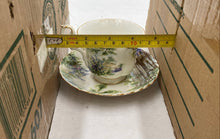 Load image into Gallery viewer, Royal Albert Bluebell Wood Teacup And Saucer
