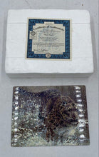 Load image into Gallery viewer, Bradford Exchange Masters Of The Wild "Snow Storm" Collector Plate

