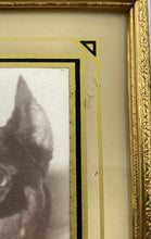Load image into Gallery viewer, Framed Picture Of A Dog

