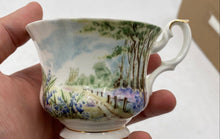 Load image into Gallery viewer, Royal Albert Bluebell Wood Teacup And Saucer
