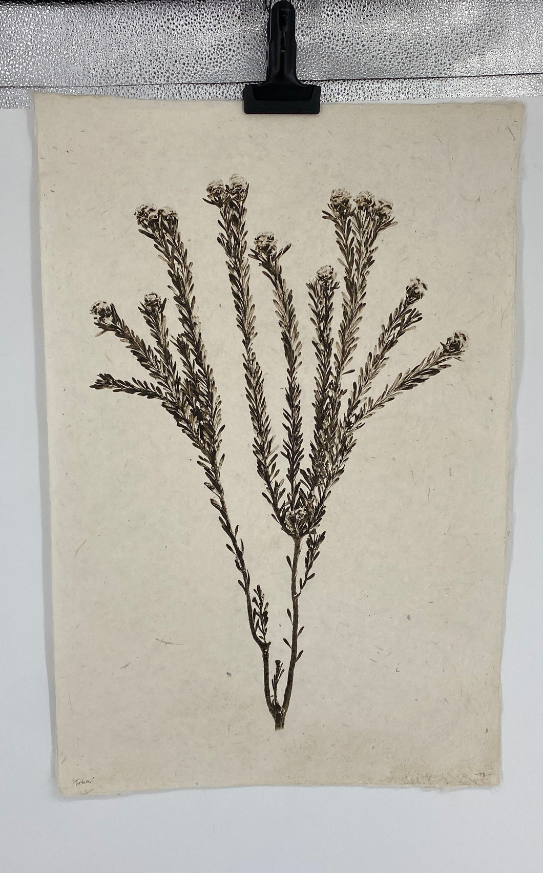 Tortum Form Print Signed.