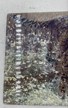 Load image into Gallery viewer, Bradford Exchange Masters Of The Wild "Snow Storm" Collector Plate
