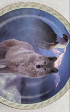 Load image into Gallery viewer, Bradford Exchange "United In Spirit" Collector Plate
