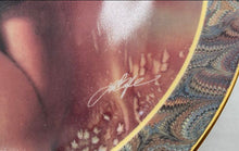 Load image into Gallery viewer, Bradford Exchange "First Glance" By Lee Bogle Collector Plate
