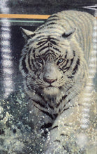 Load image into Gallery viewer, Bradford Exchange "White Lightning" By John Seerey Lester Collector Tile
