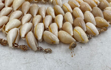 Load image into Gallery viewer, Cowrie Seashell Placemats And Coasters
