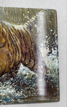 Load image into Gallery viewer, Bradford Exchange Masters Of The Wild "Golden Tempest" Collector Plate
