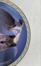Load image into Gallery viewer, Bradford Exchange "United In Spirit" Collector Plate

