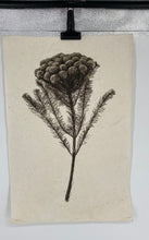 Load image into Gallery viewer, Brunia Form Photography Art Print Signed.
