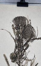 Load image into Gallery viewer, Banksia Form Print Signed.
